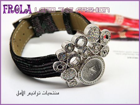 أكسسوارات مميزه للبنات 2014 , أكسسوارات راقيه 2014 109521.png