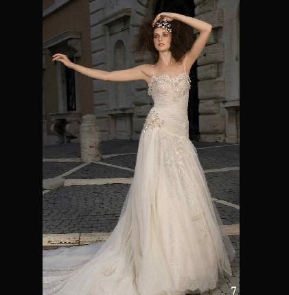 فساتين زفاف ايطالية 2014 ، فساتين راقية للعروس 2014 88027.png