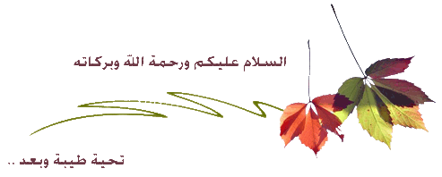 اجمل المطابخ الخليجية 2014 - مطابخ سعودية روعه 2014 88295.png